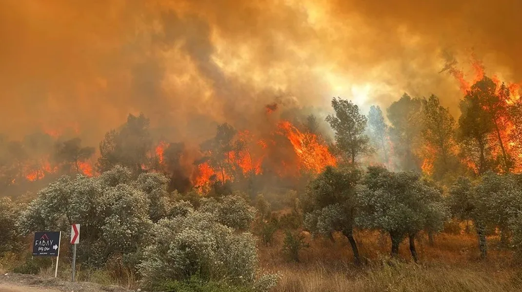 Muğla’nın Milas ilçesinde orman yangını: Mahalleler tahliye ediliyor