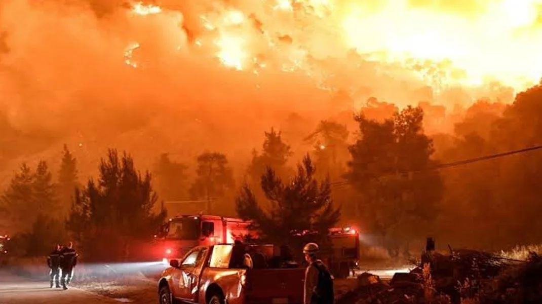 Yunanistan’da yangınların devam ettiği Meriç Bölgesi’ndeki ormanlık alanda 18 kişinin cesedi bulundu