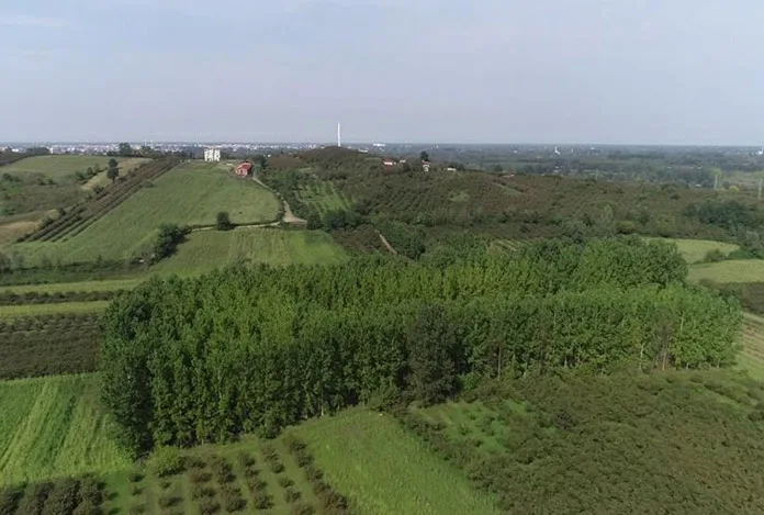 Deprem bölgesinde orman ve meralar yapılaşmaya açıldı