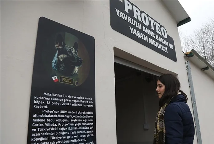 Kahraman arama kurtarma köpeği Proteo’nun adı Samsun’da yaşatılacak