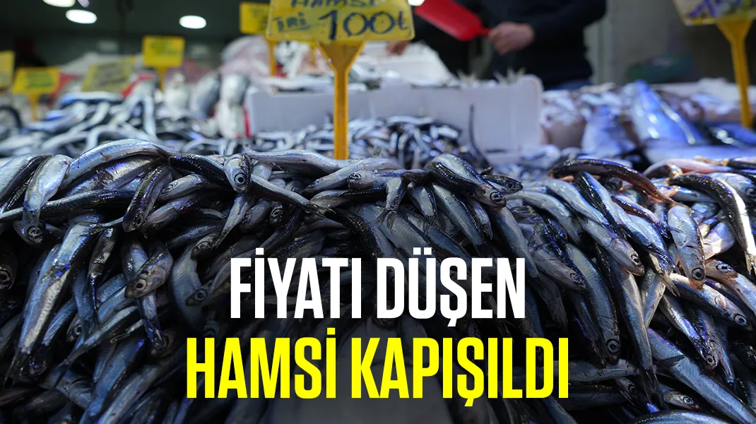 Fiyatı düşen hamsi kapışıldı