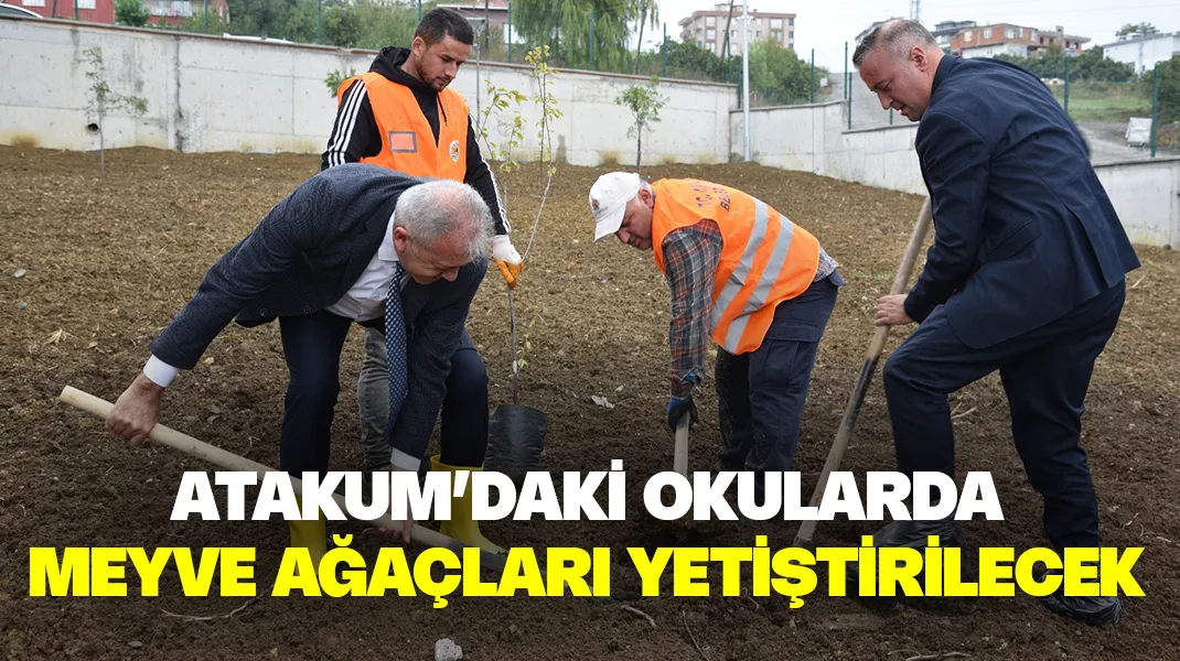 Atakum’daki okullarda meyve ağaçları yetiştirilecek
