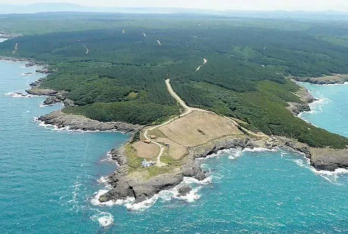 Sinop Nükleer Santrali’nde kritik gün
