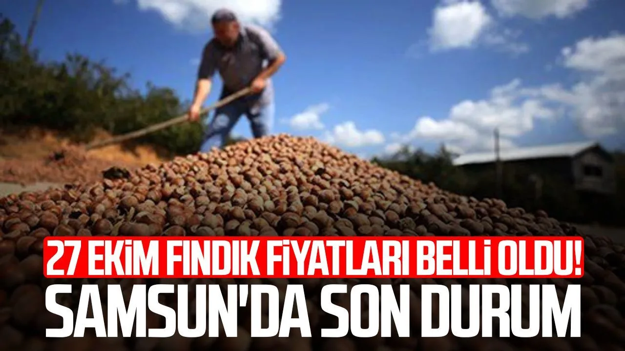 27 Ekim'de fındık fiyatları: Samsun'da kilogram 176,25 TL