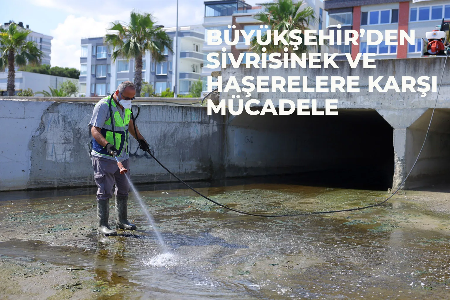 Büyükşehir’den Sivrisinek Ve Haşerelere Karşı Mücadele