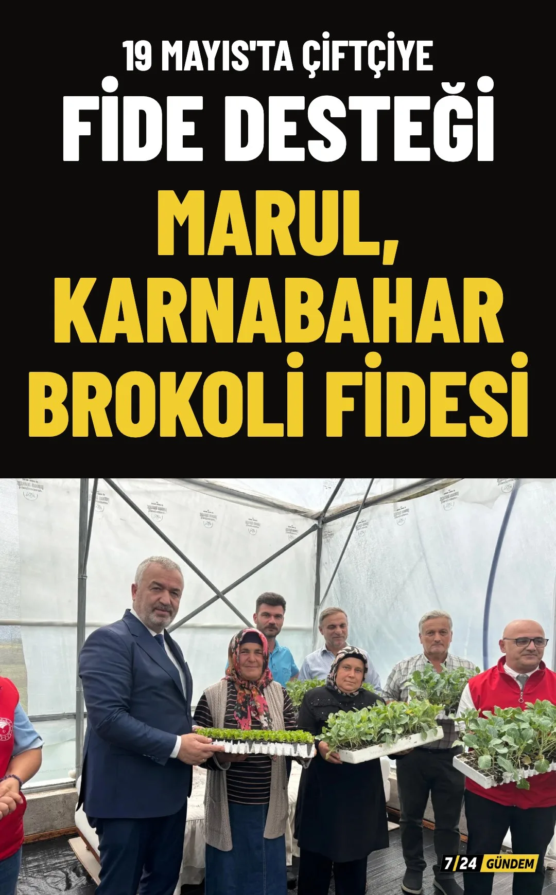19 Mayıs'ta çiftçilere marul, karnabahar ve brokoli fidesi dağıtıldı