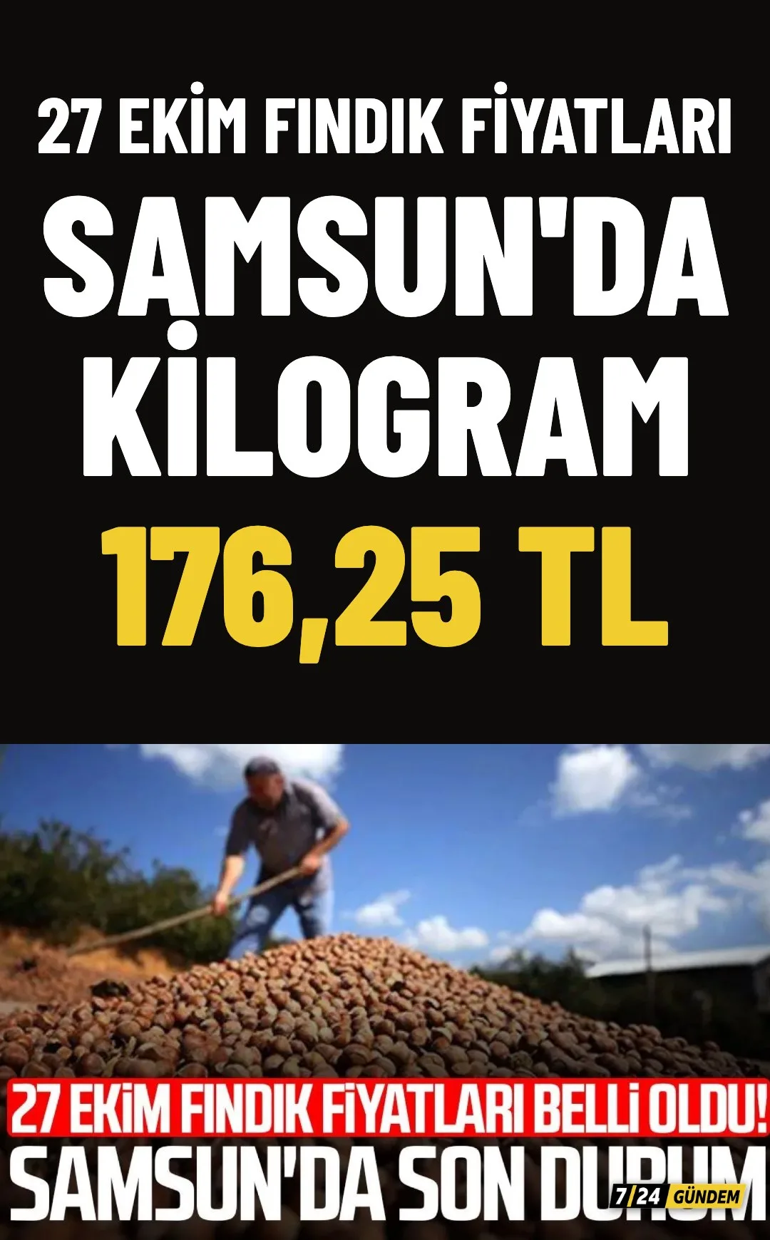 27 Ekim'de fındık fiyatları: Samsun'da kilogram 176,25 TL