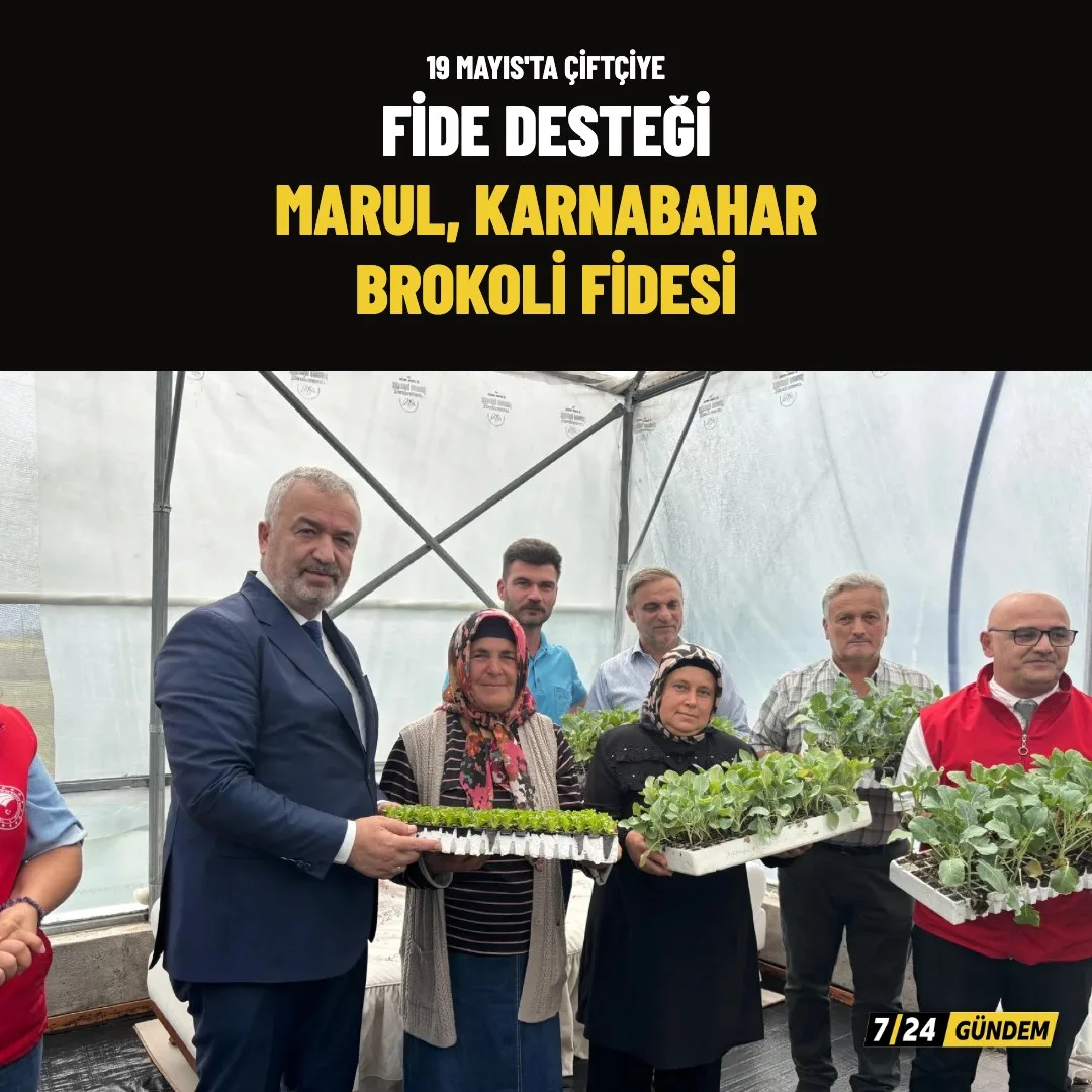 19 Mayıs'ta çiftçilere marul, karnabahar ve brokoli fidesi dağıtıldı